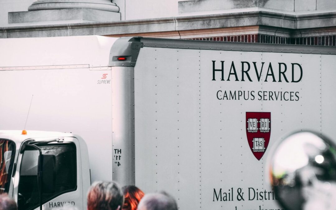Acceso gratuito a más de un millón de libros en línea gracias a Harvard y Google: así podés acceder