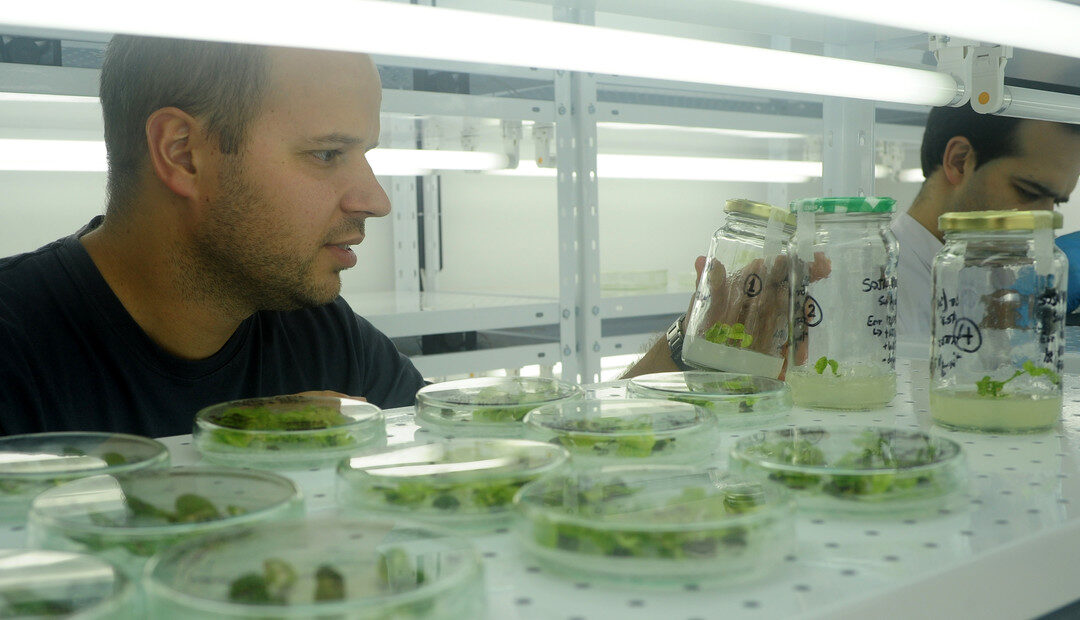 La conexión clave entre investigación científica, innovación y producción